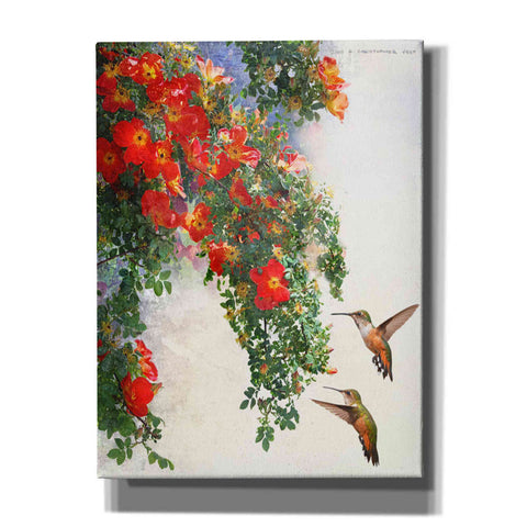 Image of 'Hanging Red Roses and Hummers' by Chris Vest, Giclee Canvas Wall Art