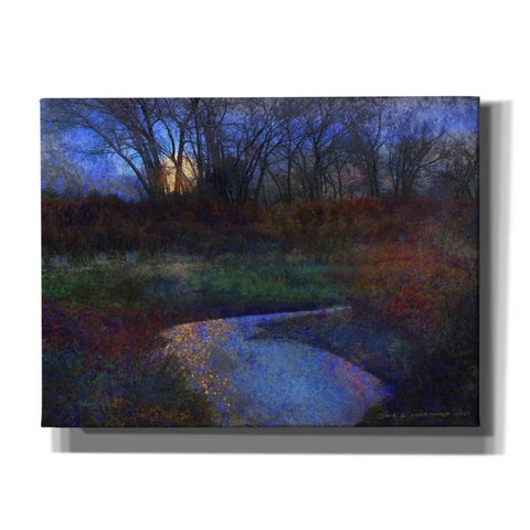 Image of 'Moonlit Stream' by Chris Vest, Giclee Canvas Wall Art