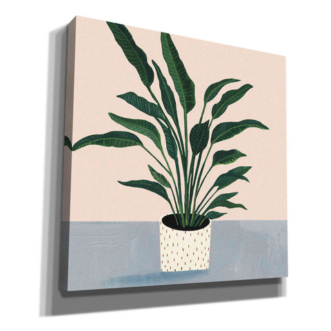 Image of 'Houseplant IV' by Victoria Borges Canvas Wall Art