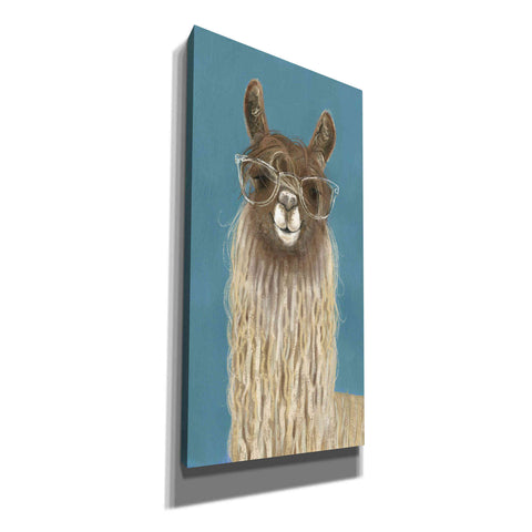 Image of 'Llama Specs IV' by Victoria Borges Canvas Wall Art