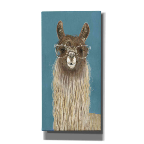 Image of 'Llama Specs IV' by Victoria Borges Canvas Wall Art