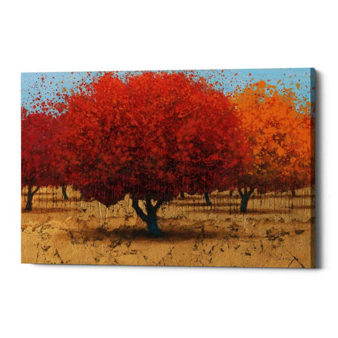 Image of 'Orange Trees II' by James Wiens, Canvas Wall Art