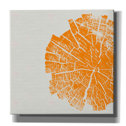 Image of 'Orange Slice' by Linda Woods, Canvas Wall Art