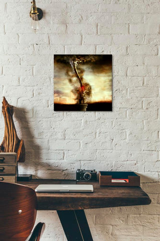 Image of '2009' by Mario Sanchez Nevado, Canvas Wall Art,12x12