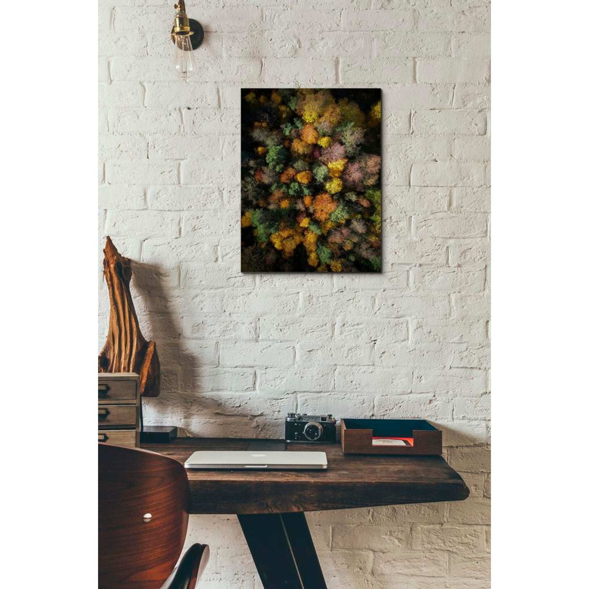 'Autumn Forest - Aerial Photography' by Nicklas Gustafsson, Canvas Wall,12x16