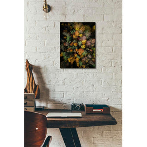 'Autumn Forest - Aerial Photography' by Nicklas Gustafsson, Canvas Wall,12x16