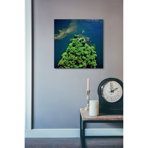 Image of 'Archipelago Island' by Nicklas Gustafsson, Canvas Wall,18x18
