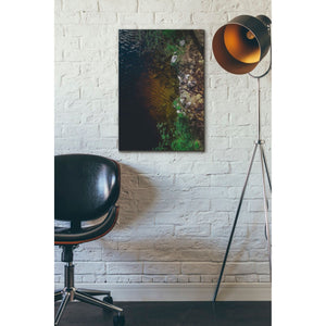 'Summer Lake' by Nicklas Gustafsson, Canvas Wall,18x26