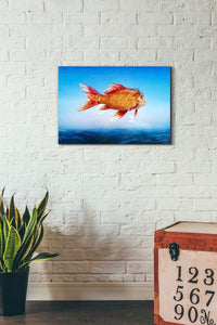 'The Outsider' by Mario Sanchez Nevado, Canvas Wall Art,18x26