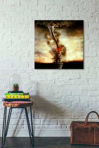 Image of '2009' by Mario Sanchez Nevado, Canvas Wall Art,26x26