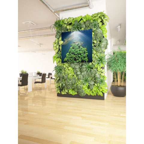 Image of 'Archipelago Island' by Nicklas Gustafsson, Canvas Wall,37x37