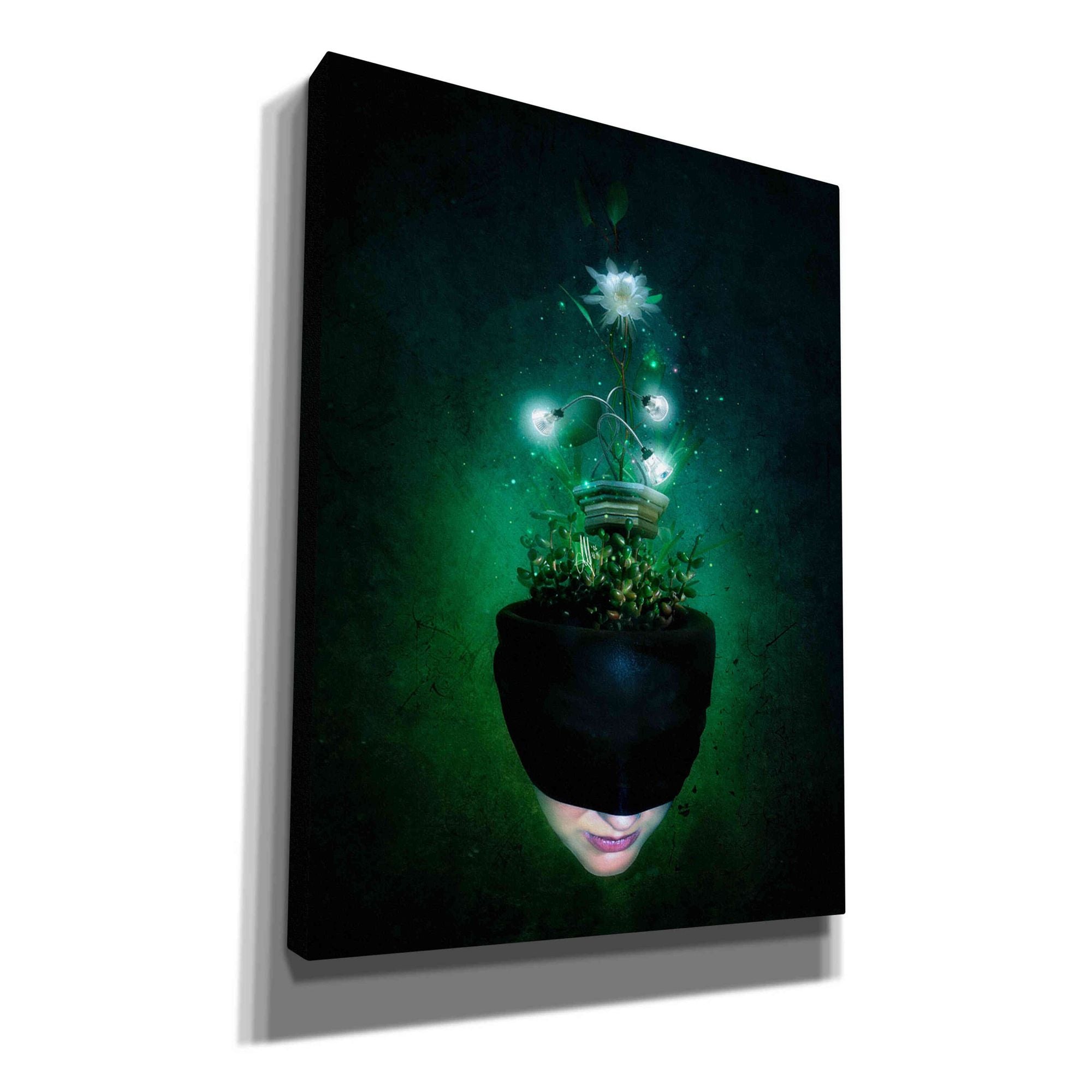 'Herbal Movement I' by Mario Sanchez Nevado, Canvas Wall Art