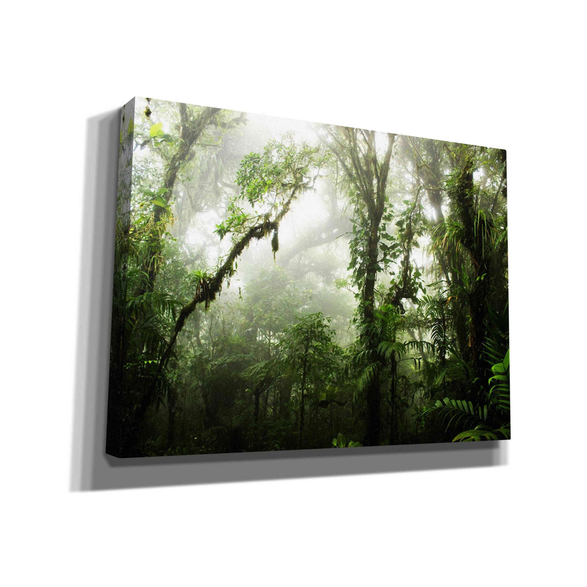 'Clodud Forest' by Nicklas Gustafsson Canvas Wall Art