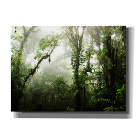 'Clodud Forest' by Nicklas Gustafsson Canvas Wall Art