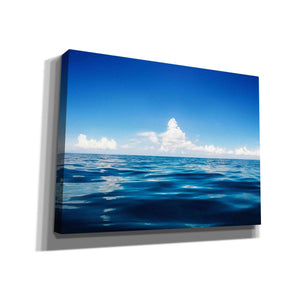 'Deep Blue' by Nicklas Gustafsson Canvas Wall Art