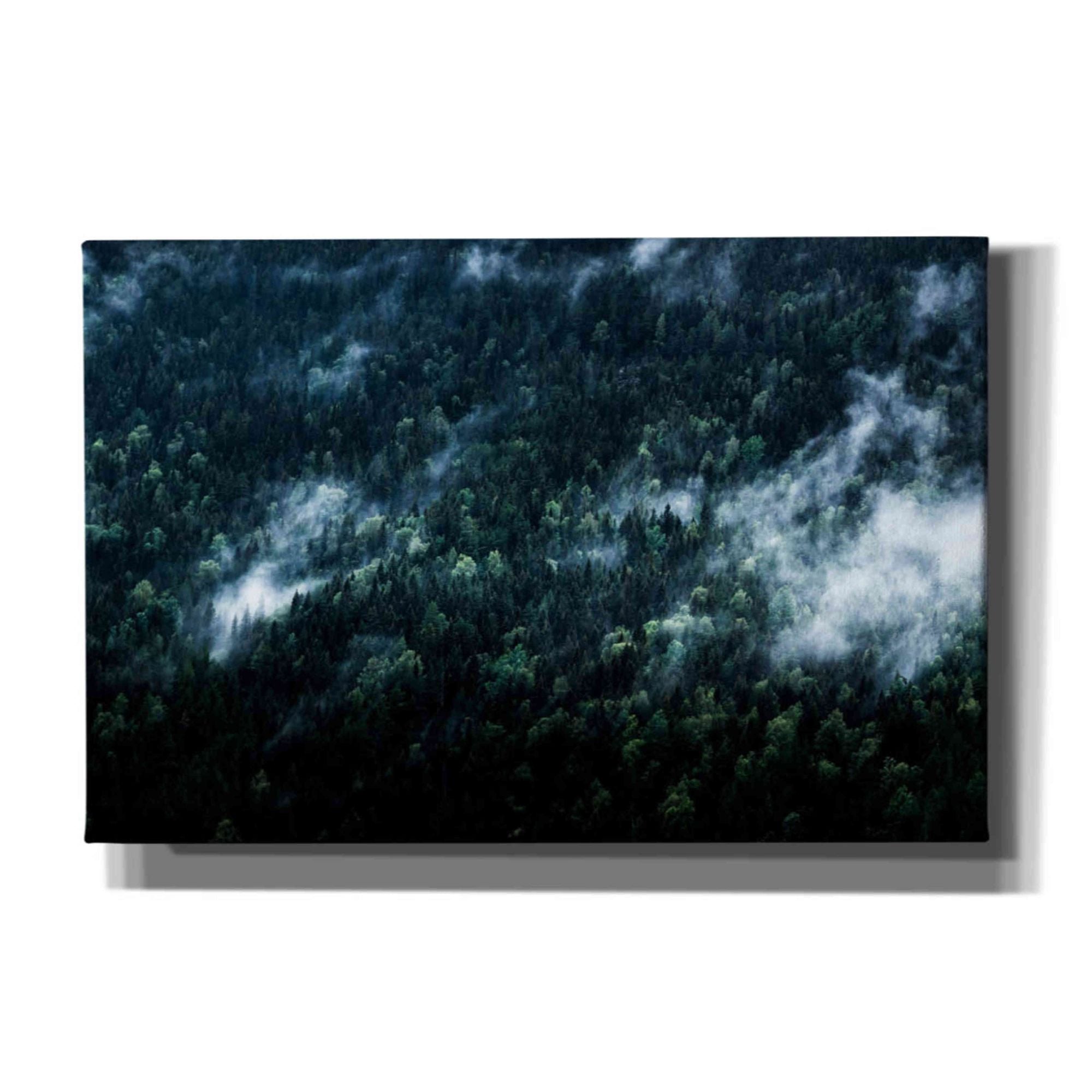 'Foggy Forest Mountain' by Nicklas Gustafsson Canvas Wall Art
