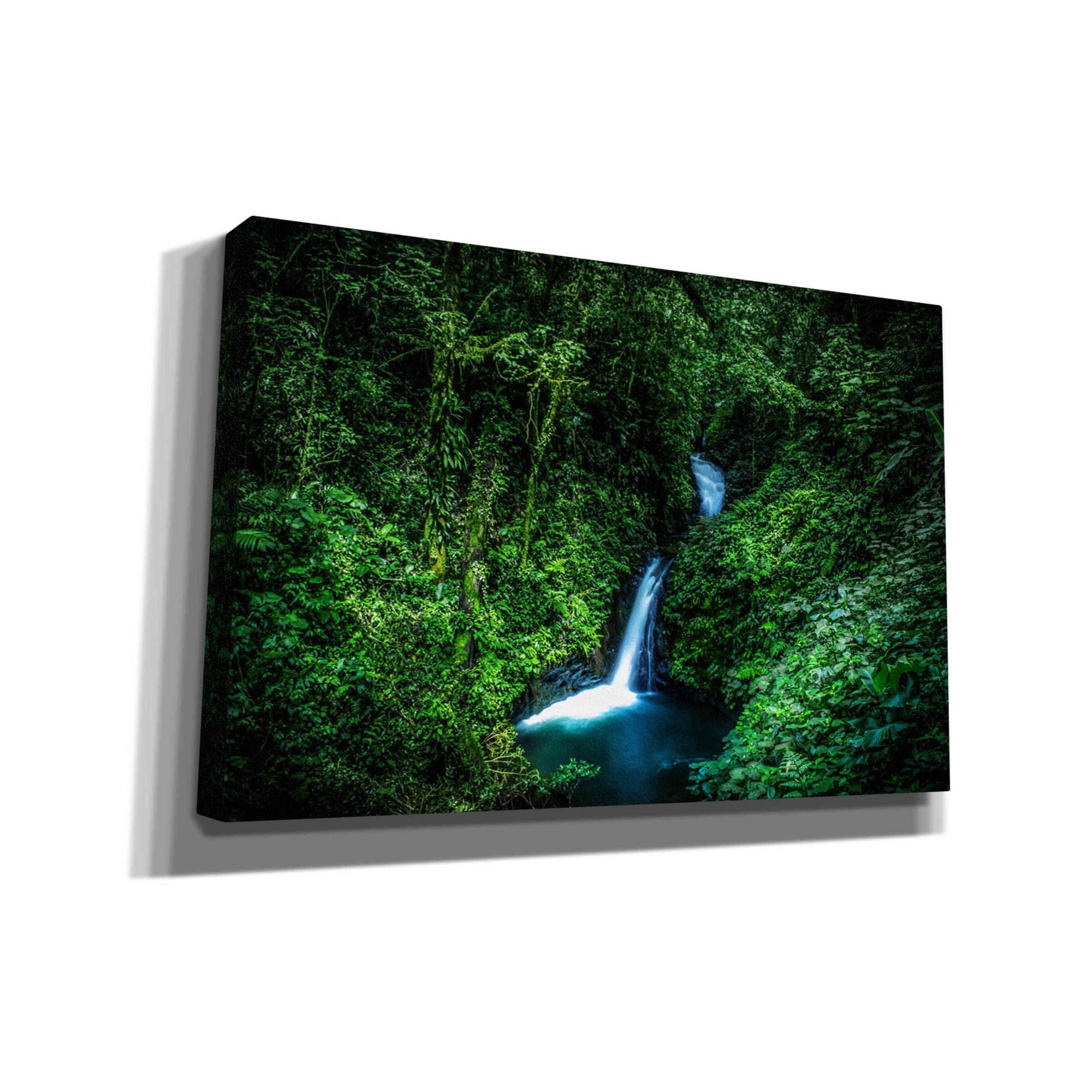 'Jungle Waterfall' by Nicklas Gustafsson Canvas Wall Art