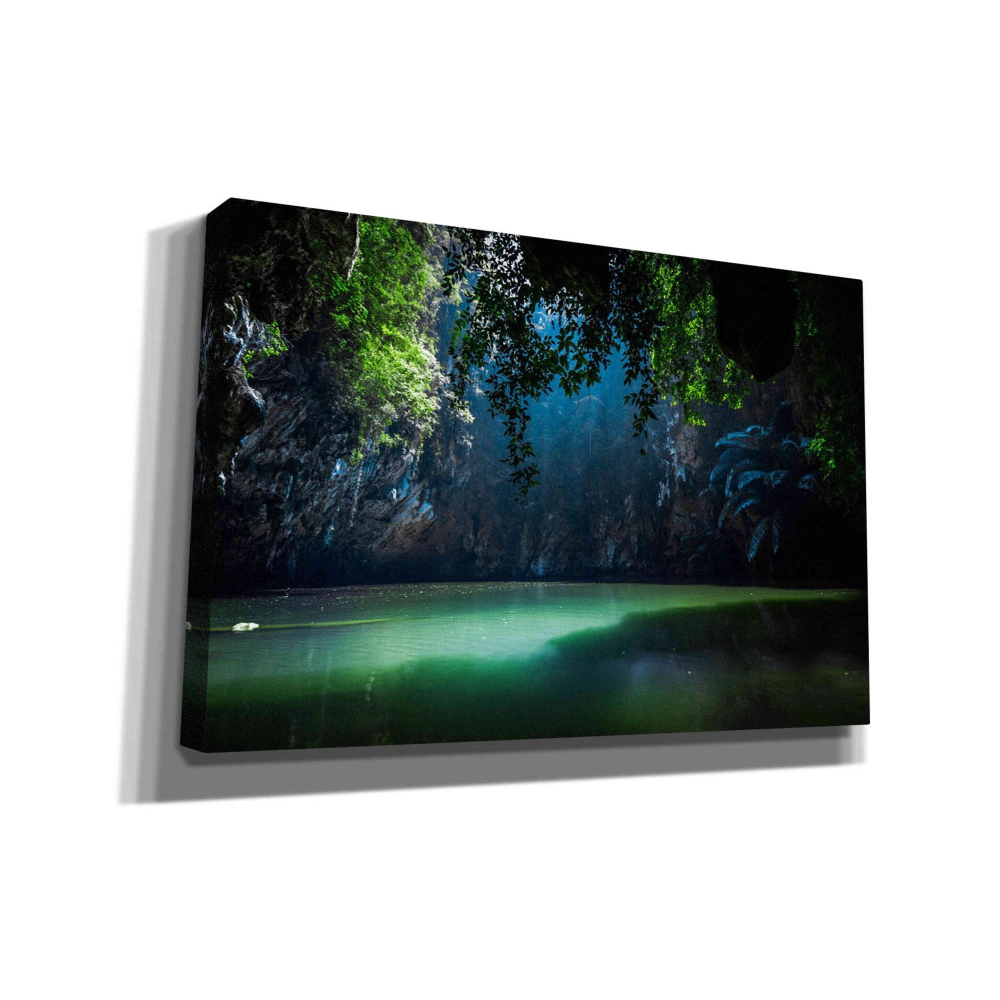 'Lagoon' by Nicklas Gustafsson Canvas Wall Art