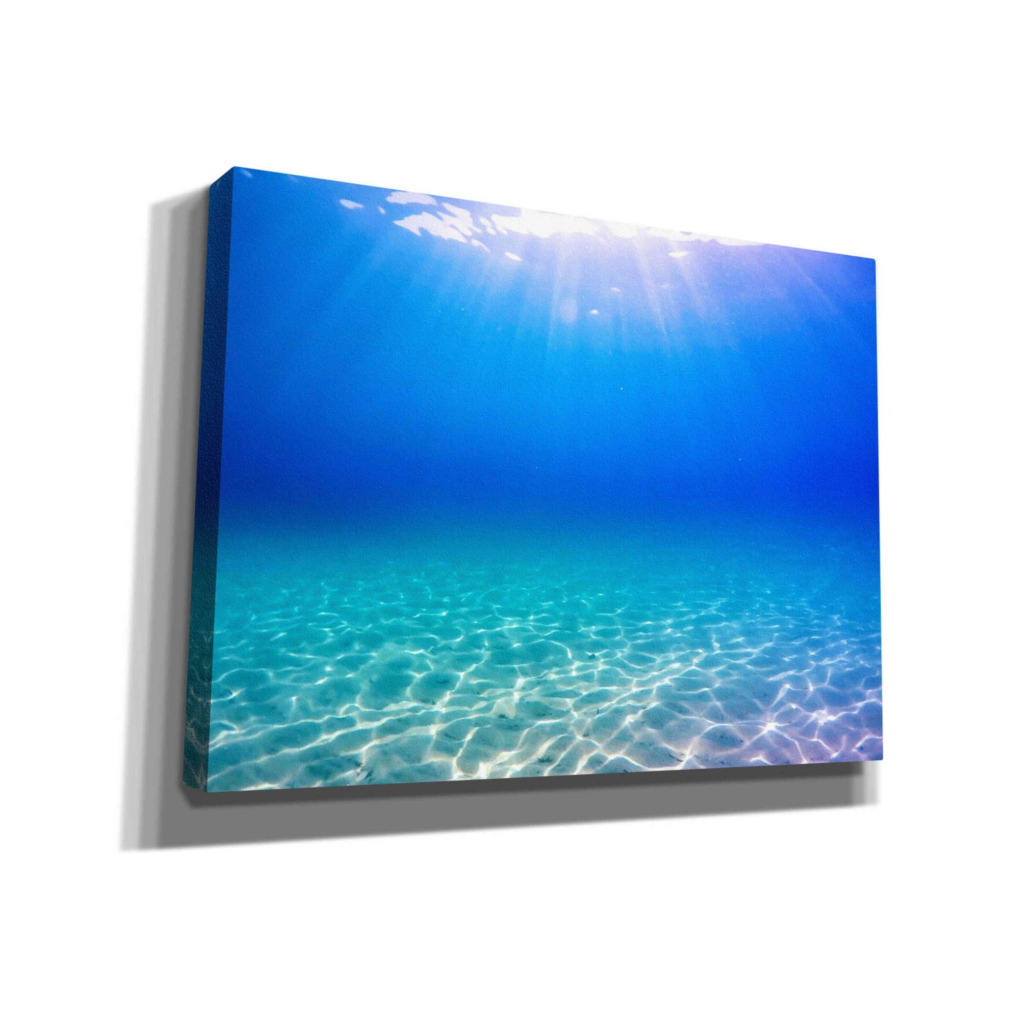'One Deep Breath' by Nicklas Gustafsson Canvas Wall Art