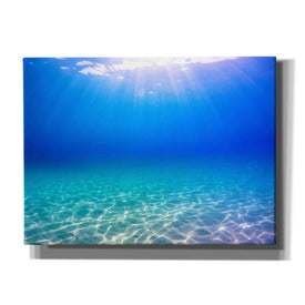 'One Deep Breath' by Nicklas Gustafsson Canvas Wall Art