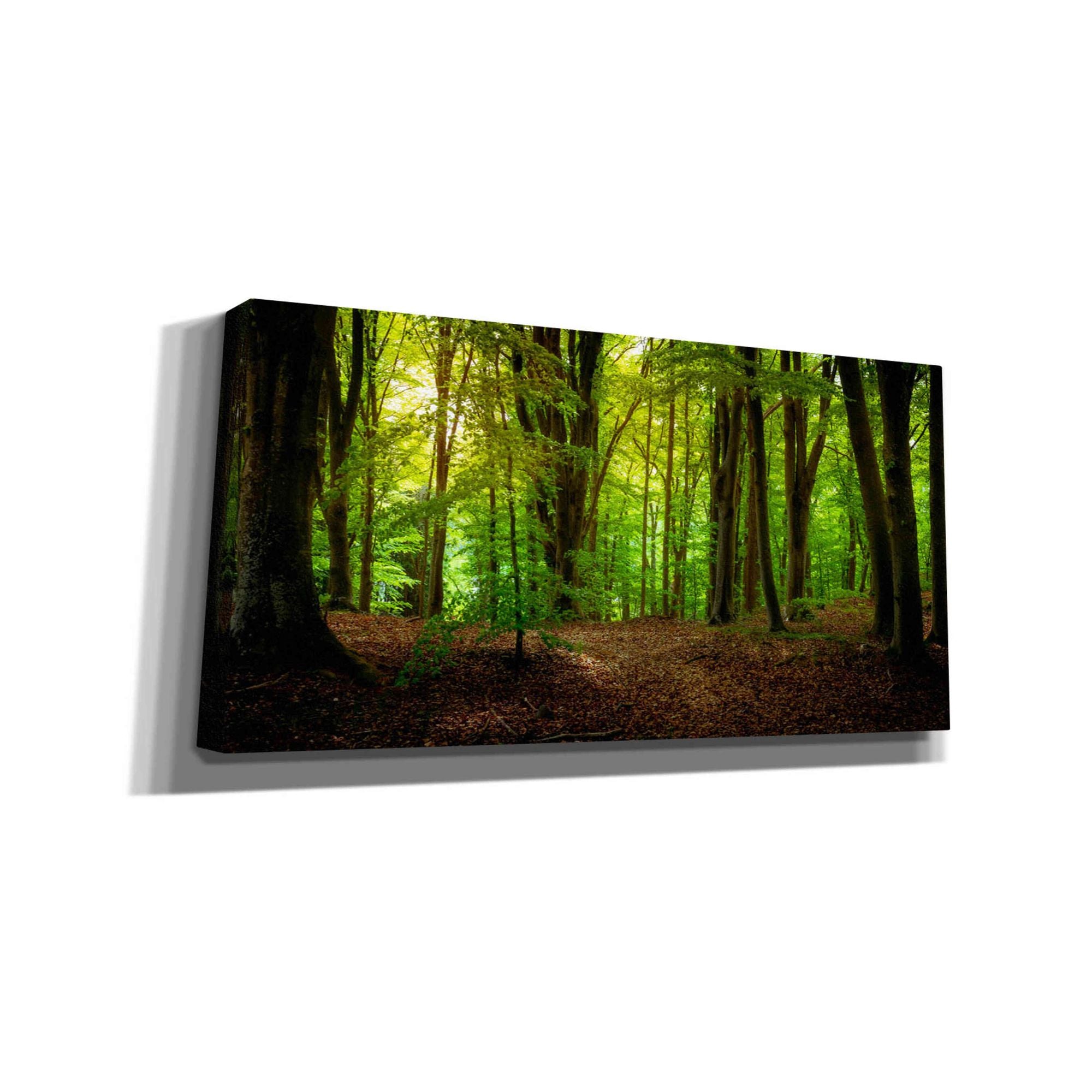 'Summer Forest' by Nicklas Gustafsson Canvas Wall Art