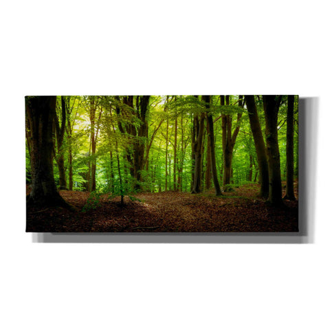 Image of 'Summer Forest' by Nicklas Gustafsson Canvas Wall Art