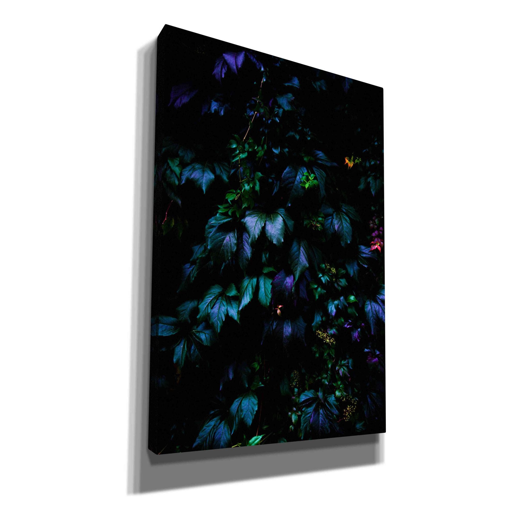 'Jungle' by Nicklas Gustafsson Canvas Wall Art