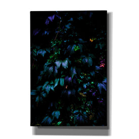 'Jungle' by Nicklas Gustafsson Canvas Wall Art