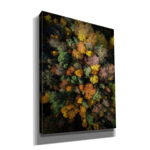 'Autumn Forest - Aerial Photography' by Nicklas Gustafsson, Canvas Wall