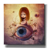 'Big Brother Sin' by Mario Sanchez Nevado, Canvas Wall Art,Size 1 Square