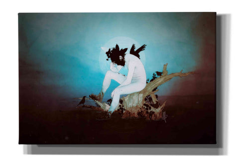 Image of 'Black Lake' by Mario Sanchez Nevado, Canvas Wall Art,Size A Landscape
