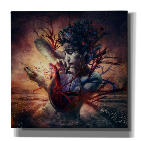 Image of 'Blossom' by Mario Sanchez Nevado, Canvas Wall Art,Size 1 Square
