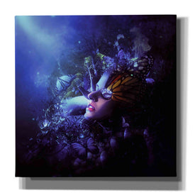 'Last Travel of the Butterflies' by Mario Sanchez Nevado, Canvas Wall Art,Size 1 Square