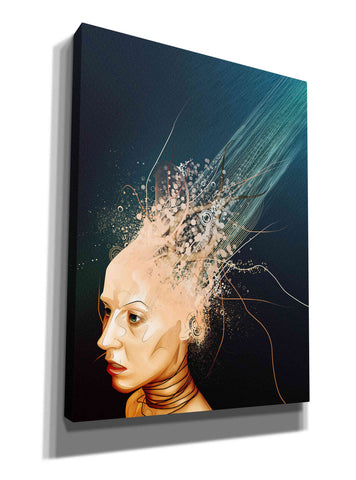 Image of 'Emotionless' by Mario Sanchez Nevado, Canvas Wall Art,Size B Portrait