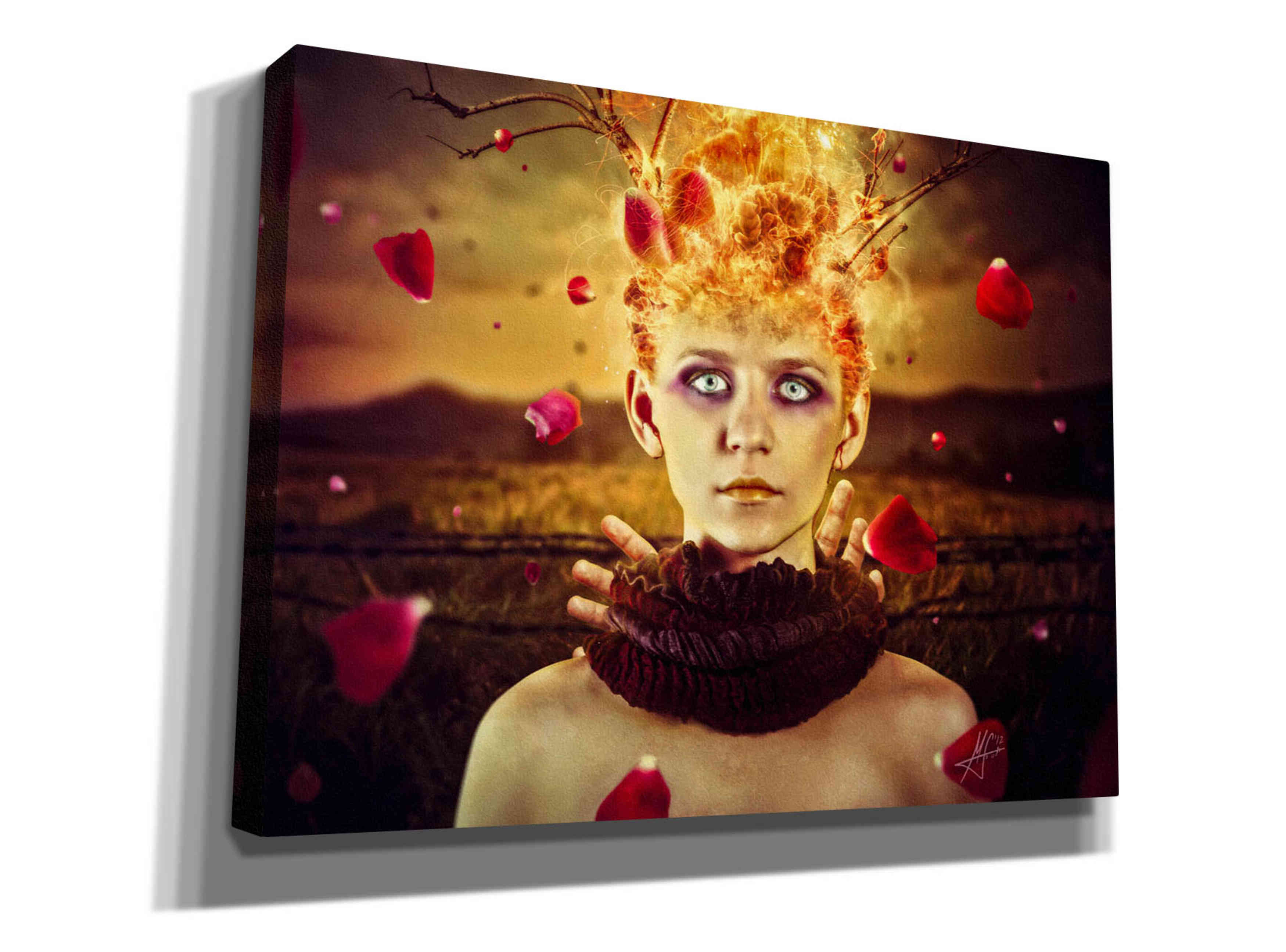 'Enjoy The Silence' by Mario Sanchez Nevado, Canvas Wall Art,Size A Landscape