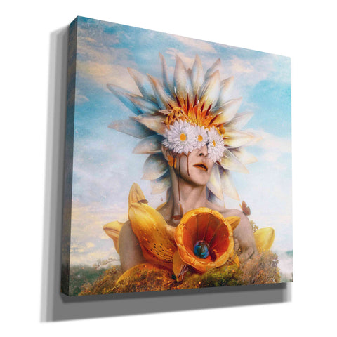 Image of 'Honey' by Mario Sanchez Nevado, Canvas Wall Art,Size 1 Square