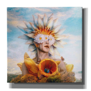 'Honey' by Mario Sanchez Nevado, Canvas Wall Art,Size 1 Square