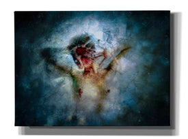 'I Break' by Mario Sanchez Nevado, Canvas Wall Art,Size A Landscape