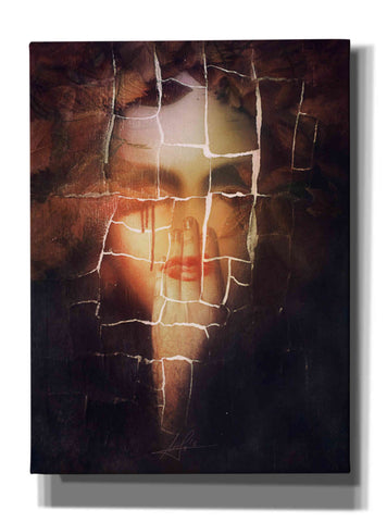 Image of 'Leaves' by Mario Sanchez Nevado, Canvas Wall Art,Size B Portrait