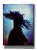 'Make A Wish' by Mario Sanchez Nevado, Canvas Wall Art,Size B Portrait