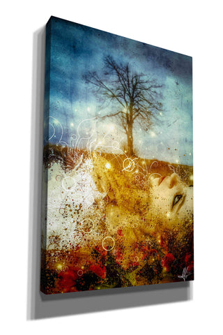 Image of 'The Maysong' by Mario Sanchez Nevado, Canvas Wall Art,Size A Portrait