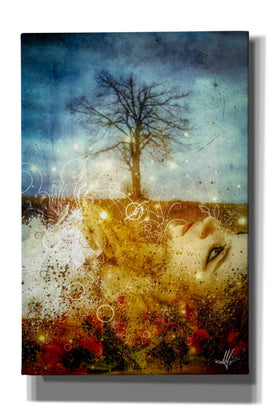 'The Maysong' by Mario Sanchez Nevado, Canvas Wall Art,Size A Portrait