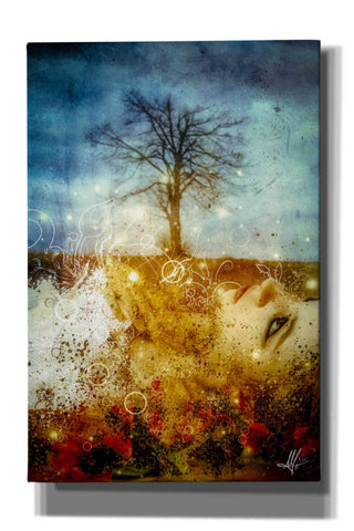 Image of 'The Maysong' by Mario Sanchez Nevado, Canvas Wall Art,Size A Portrait