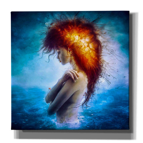Image of 'Nirvana' by Mario Sanchez Nevado, Canvas Wall Art,Size 1 Square