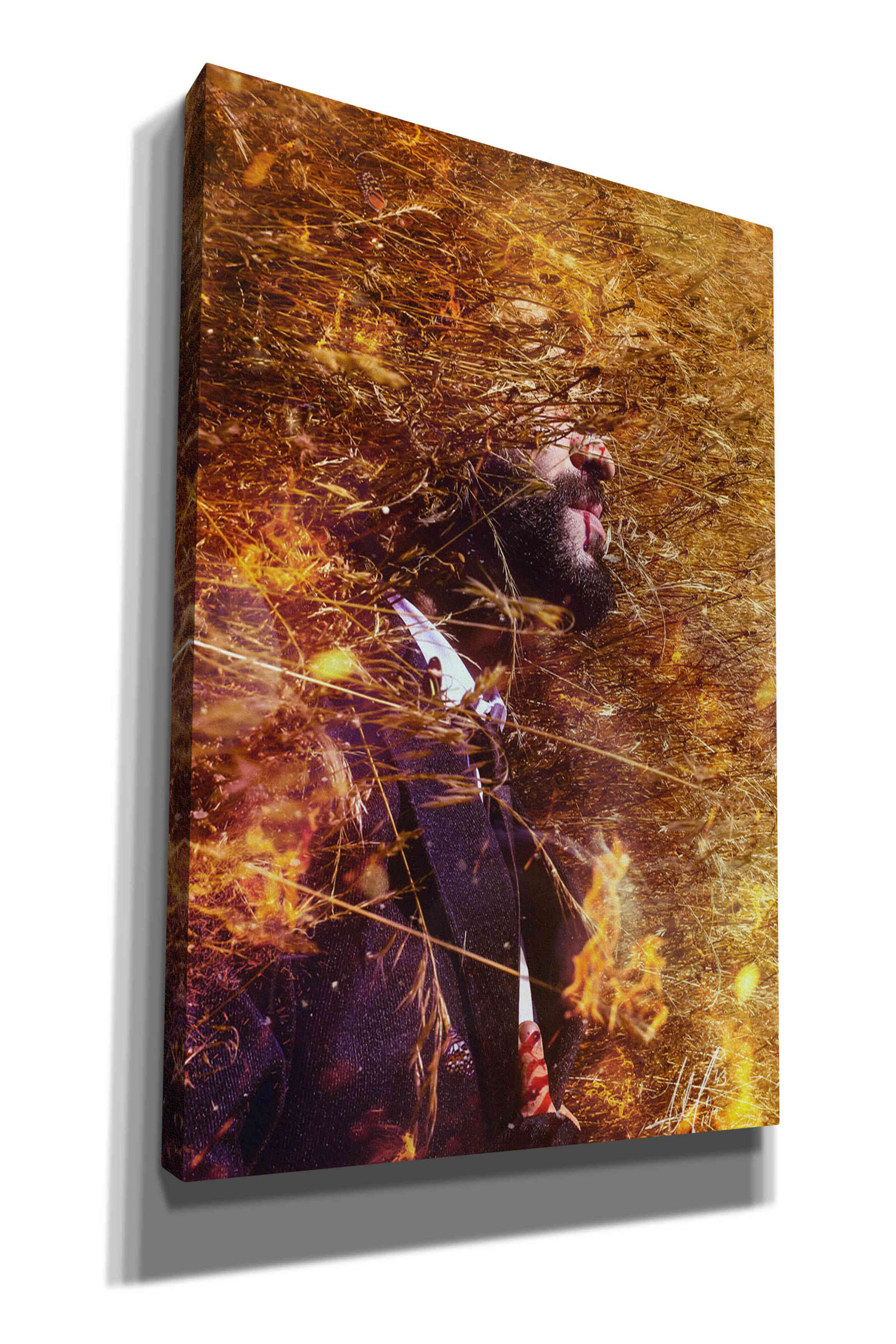 'Phoenix' by Mario Sanchez Nevado, Canvas Wall Art,Size A Portrait