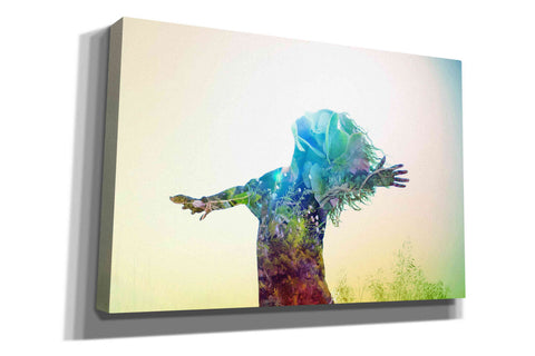 Image of 'Release' by Mario Sanchez Nevado, Canvas Wall Art,Size A Landscape