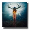 'Shelter' by Mario Sanchez Nevado, Canvas Wall Art,Size 1 Square