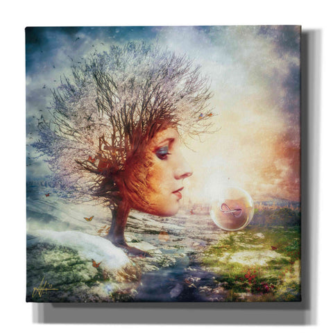Image of 'Treasure' by Mario Sanchez Nevado, Canvas Wall Art,Size 1 Square