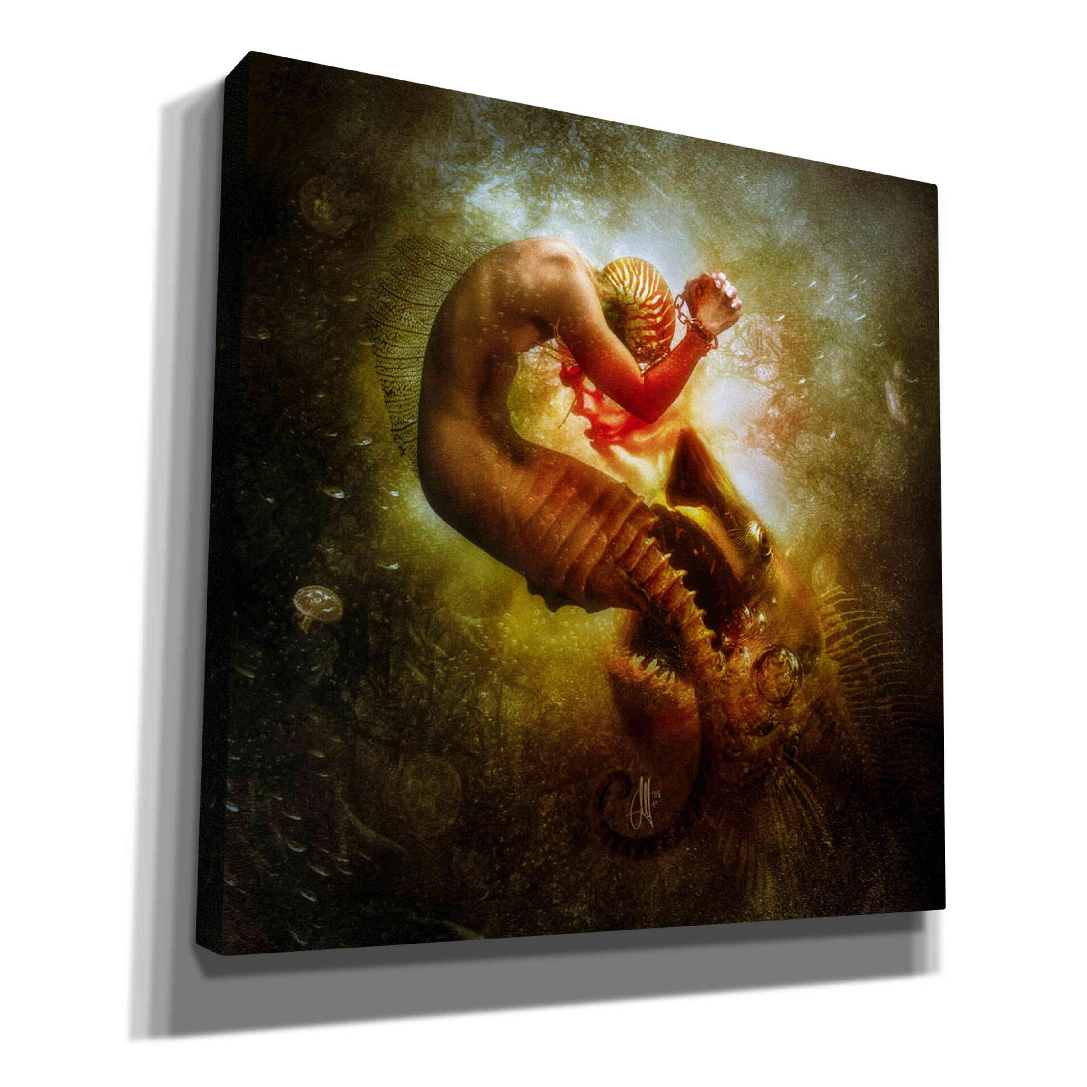 'Wanderer' by Mario Sanchez Nevado, Canvas Wall Art,Size 1 Square