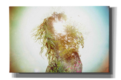 Image of 'Wisdom' by Mario Sanchez Nevado, Canvas Wall Art,Size A Landscape